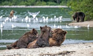 Russland | Kamtschatka - Im Feuerreich des Bären